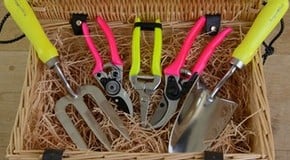 Christmas Gardening Gift Ideas