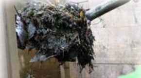 Composting School Kitchen Waste