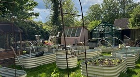 Creating a raised bed cut flower garden