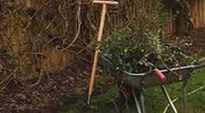 Creating a 'wafty' border with Harrod Horticultural