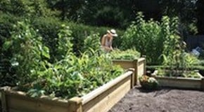 Crop Rotation & Position