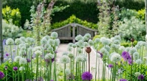 Discovering the Charm of Ordnance House: A Garden Q&A with Terry Winters