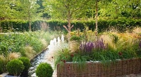 Elementa Design Guest Blog