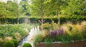 Elementa Design Guest Blog