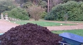 Farmyard Manure and Cold Weather