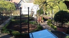 Feels like we have skipped Spring and gone to Summer