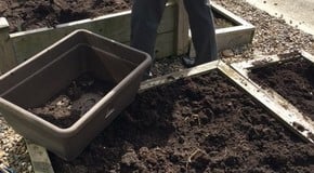 Filling our new Raised Bed in the sunshine!
