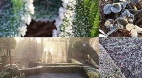 Frosty conditions in the Kitchen Garden