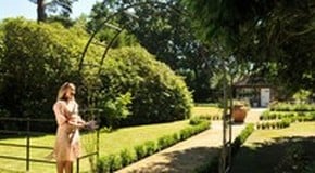 Garden Arches - Metal vs. Wooden