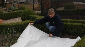 Garden Netting Advice