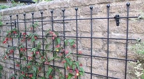 Garden Wall Trellis Panels