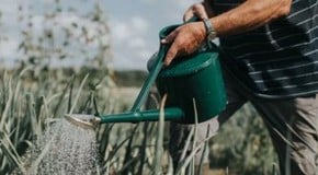 Gardening for health & wellbeing