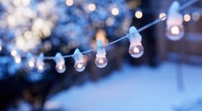 Gardening Jobs for December: Preparing Your Garden for the New Year