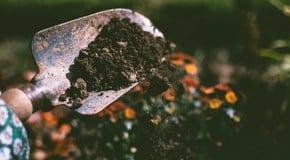 Getting to know your soil better