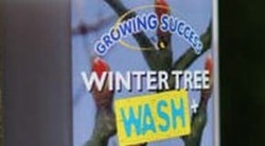 Give pests an unwelcome winter hose-down...