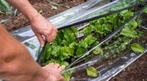 GIVEAWAY! Win a Harrod Modular Cloche!