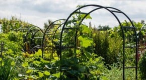 GIVEAWAY! Win a Roman Garden Arch