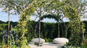 Gold Winning Garden at RHS Chatsworth