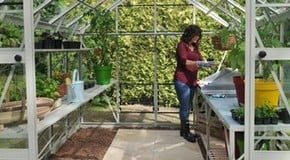 Greenhouse or Polytunnel