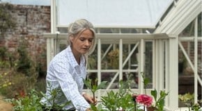 Growing a Cutting Garden using Raised Beds with Michelle Jenkins