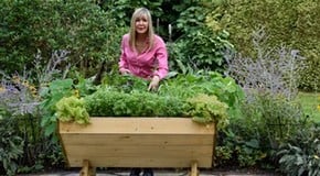 Growing in Raised Planters