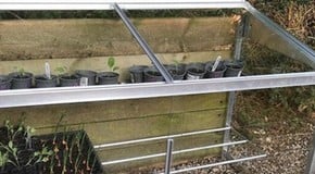 Growing more of your own food