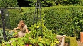 Growing vertically & making the most of your outdoor space