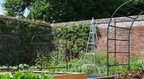 Hoveton Hall - Kitchen Garden Update!