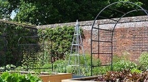Hoveton Hall - Kitchen Garden Update!