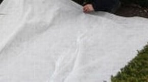 How to protect a recently seeded lawon