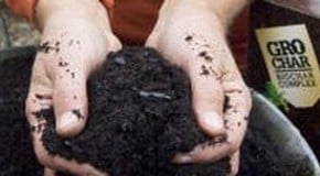 Improving the Soil and PH Levels - Please Explain!