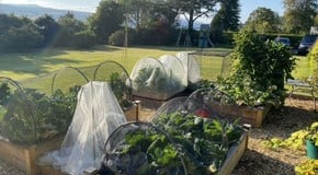 In the Garden With...Kathy Edwards