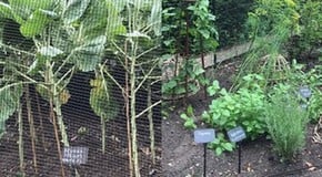 It is starting to feel Autumnal