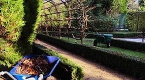 January Kitchen Garden Update