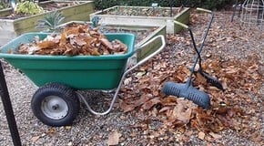 Jobs to do before the cold weather really arrives