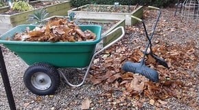 Jobs to do before the cold weather really arrives