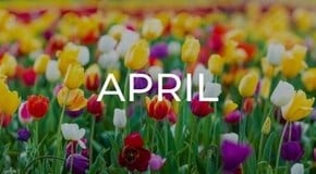 Jobs to do in the Garden in April