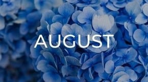 Jobs to do in the Garden in August