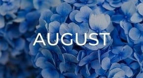 Jobs to do in the Garden in August