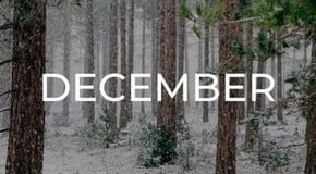 Jobs to do in the Garden in December