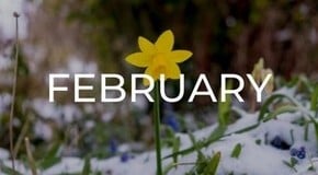 Jobs to do in the Garden in February