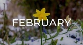 Jobs to do in the Garden in February