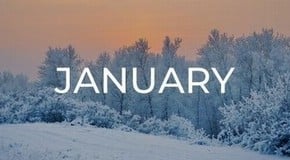 Jobs to do in the Garden in January