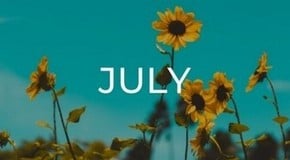 Jobs to do in the Garden in July