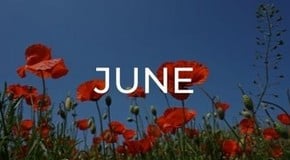 Jobs to do in the Garden in June