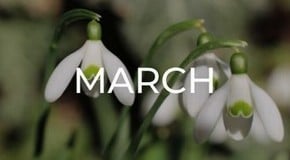 Jobs to do in the Garden in March