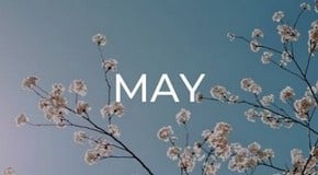 Jobs to do in the Garden in May