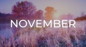 Jobs to do in the Garden in November