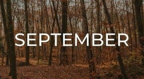 Jobs to do in the Garden in September