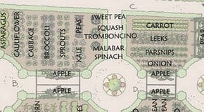 Kitchen Garden - Planning for 2024